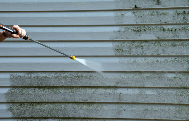 Best Exterior Home Cleaning  in Auburn, AL