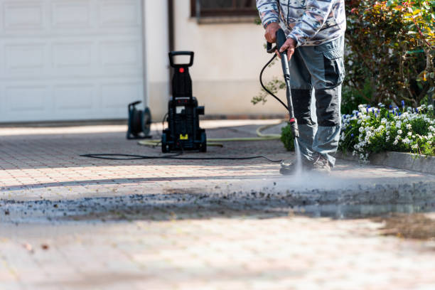 Best Roof Pressure Washing  in Auburn, AL