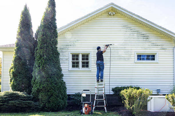 Best Sidewalk Pressure Washing  in Auburn, AL