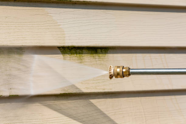 Best Local Pressure Washing Services  in Auburn, AL