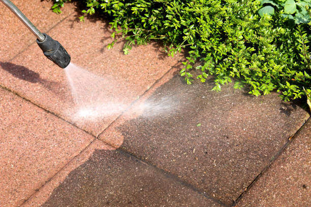 Best Pressure Washing Near Me  in Auburn, AL